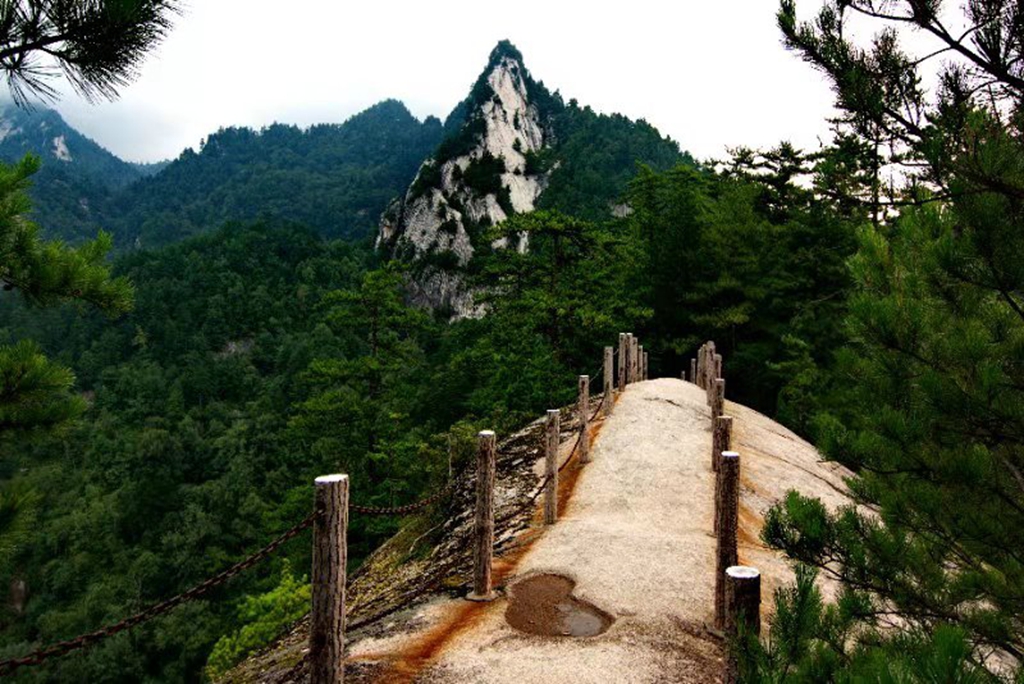 镇安木王山景区首次亮相西安杜鹃花节迎八方来客