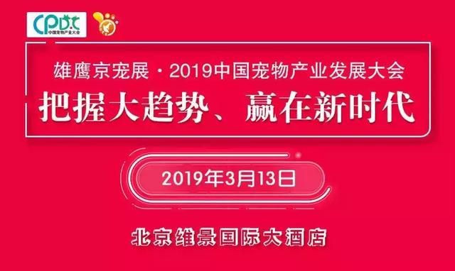 還有七天，為期四天的京寵展同期活動排期全攻略 未分類 第2張