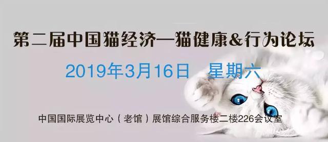 還有七天，為期四天的京寵展同期活動排期全攻略 未分類 第4張