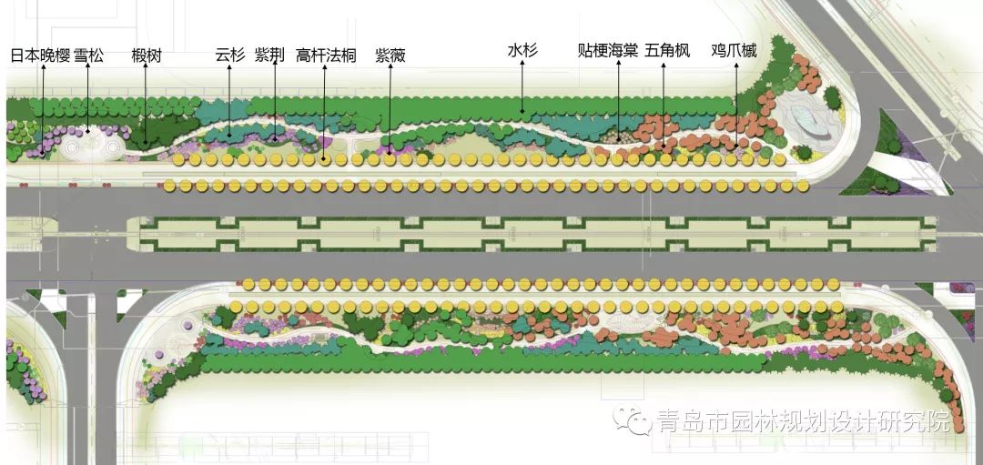 胶州胶东国际机场道路绿化景观设计新鲜出炉