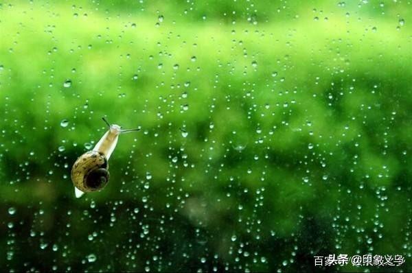 雨那种清新的使人超然脱俗的感觉,让我心动和眷恋……每逢细雨绵绵