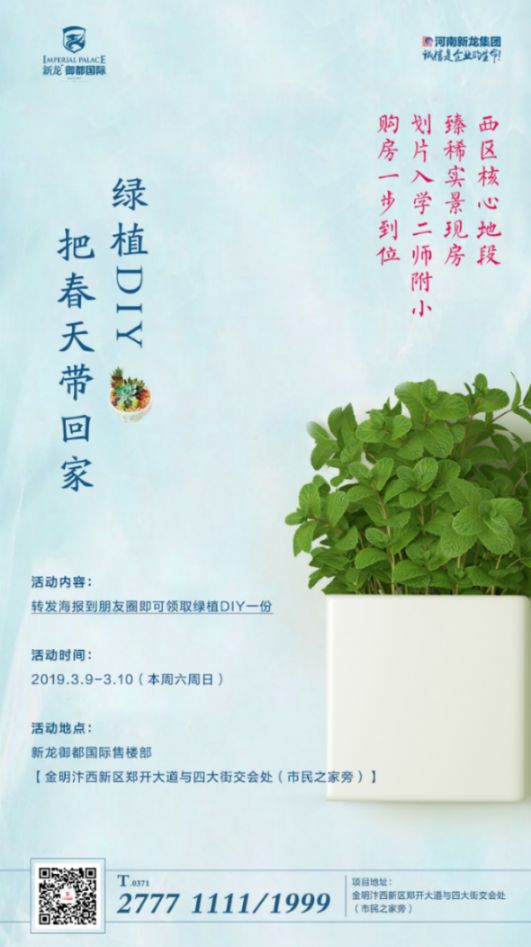 惊蛰丨创意绿植diy活动周末欢乐开启把春天带回家