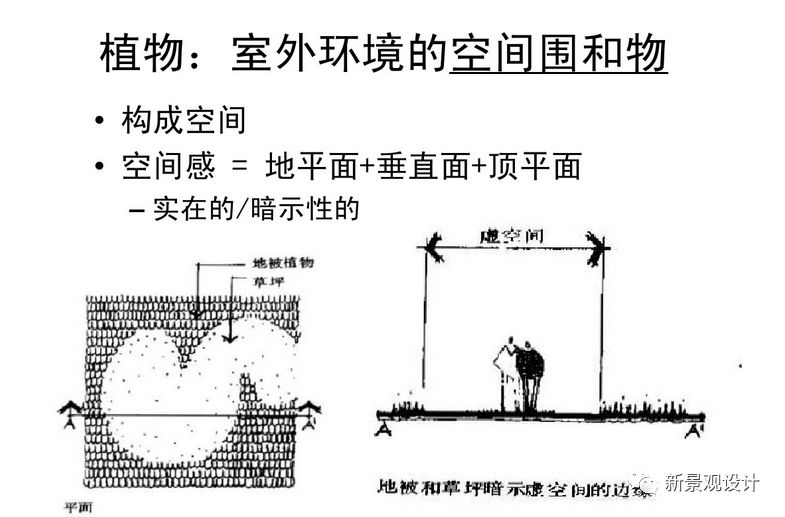 控制私密性—障景—构成空间76 植物的建造功能设计中植物