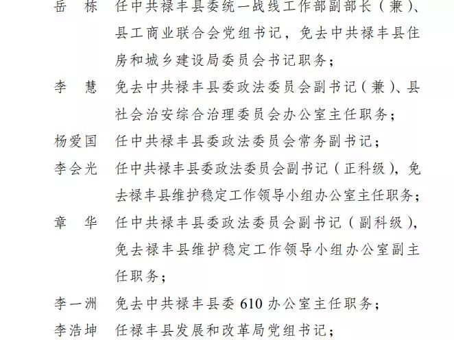 南华武定姚安元谋禄丰一批干部任前公示人事任免通知