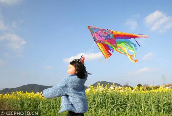 江西莲花:迎春风 放风筝