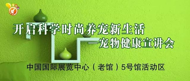 還有七天，為期四天的京寵展同期活動排期全攻略 未分類 第6張