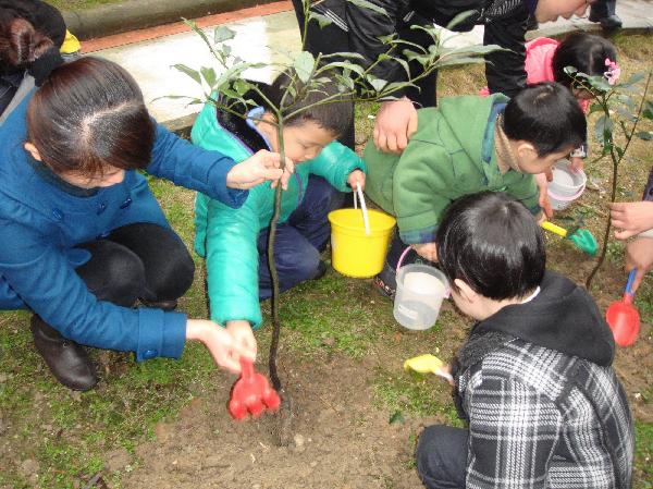 幼儿园植树节主题活动策划方案大全看过的都收藏了