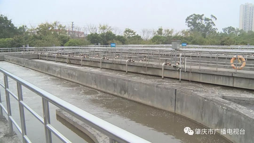端州城区污水管网改造工程动工 将彻底消除黑