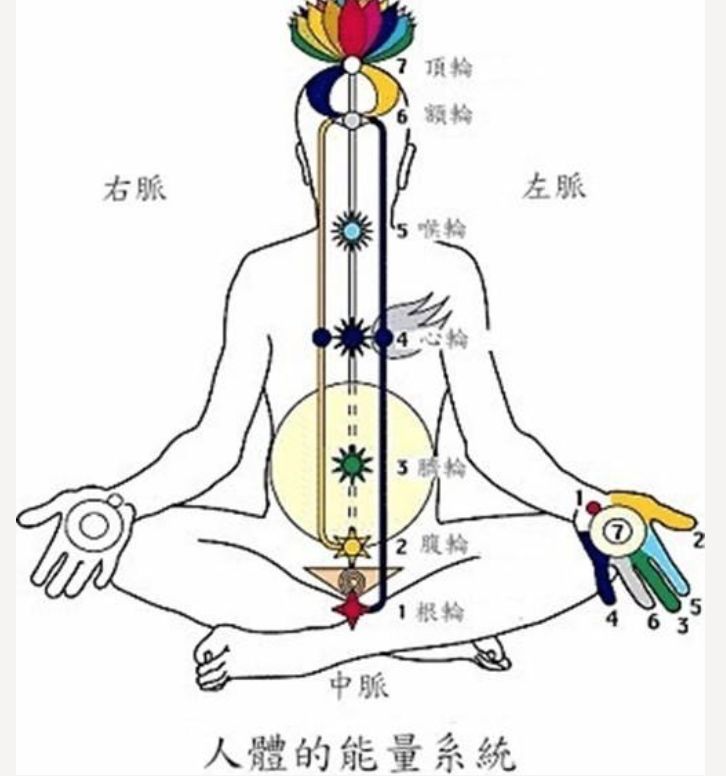 超简单的瑜伽动作,1分钟能通经络排毒素,气色好到爆