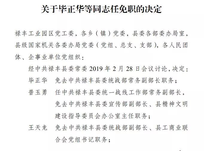 南华武定姚安元谋禄丰一批干部任前公示人事任免通知