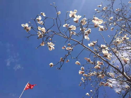 今天是个鲜为人知的古老节日，该吃这种节令美食