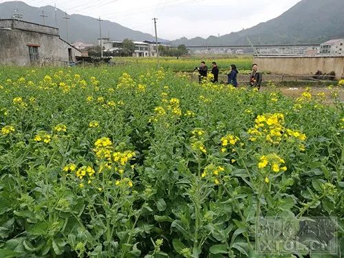 23℃！湘潭之后几天的天气惊呆了！还有一个好消息…