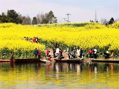 到成都最近"千岛湖"赏油菜花,上万游客挤爆邛崃牟礼两河口