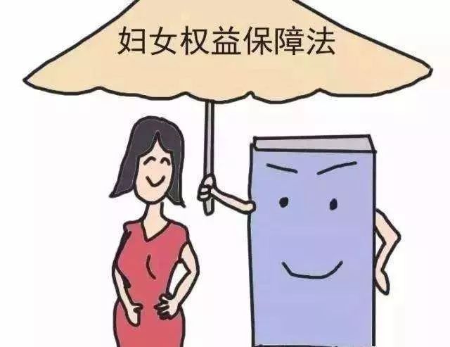 科普下《妇女权益保障法》