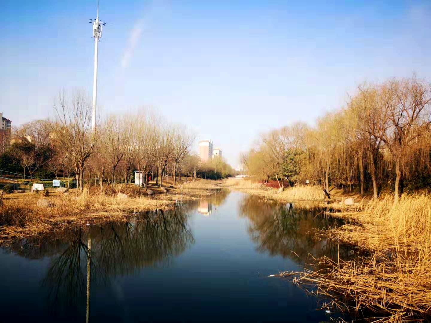 静静河边树,青青水中影.好一幅初春图