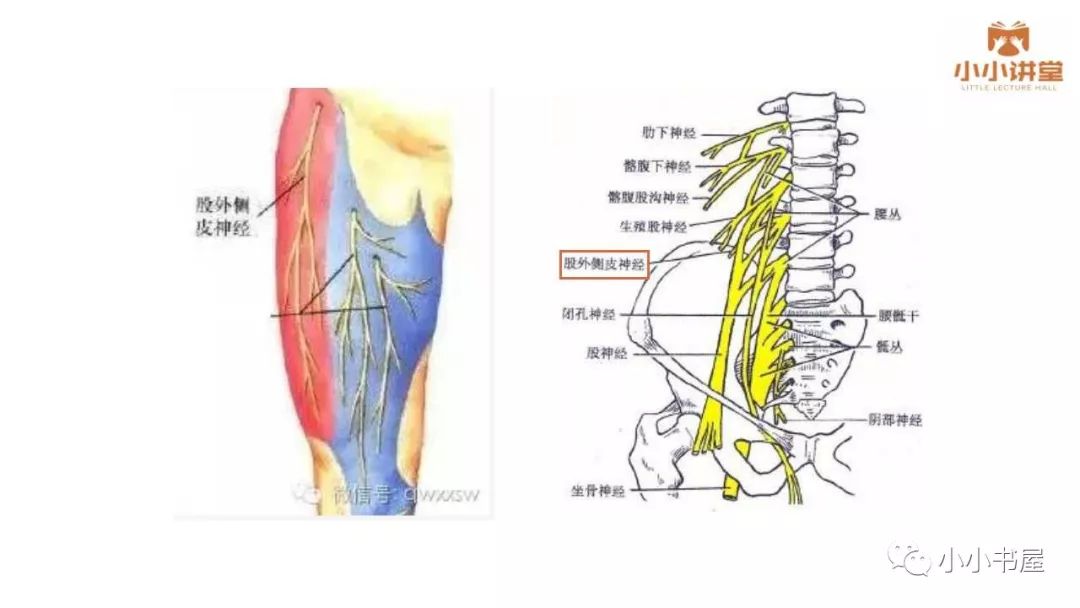 第三腰椎横突综合征(一)
