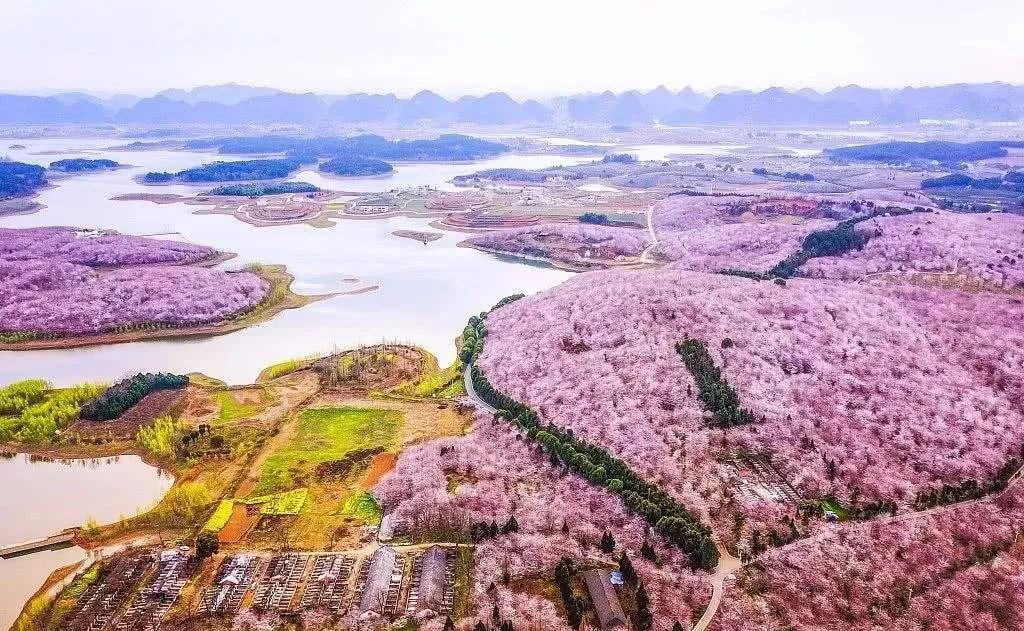 往返机票全含丨贵州的天空之城下是一片金海雪山,美炸