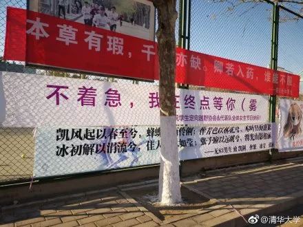 全班 男生买520支玫瑰 送她 来自理工男的温暖 北大 医学院 的女生节