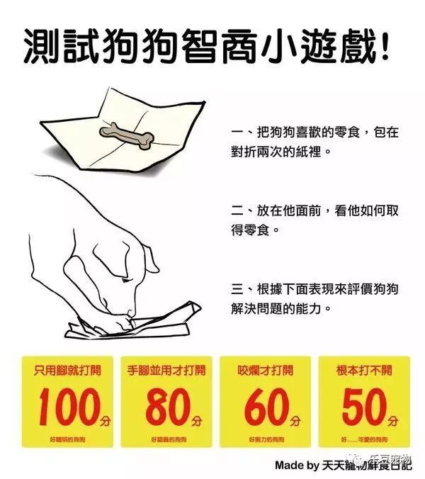 狗狗的禁忌知識都在這了，趕緊收藏以便應急！ 寵物 第43張