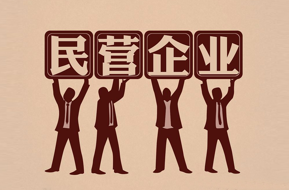 各省民营经济gdp占比_鄂平均每天新增约3000民企老板 民营经济占比升至54