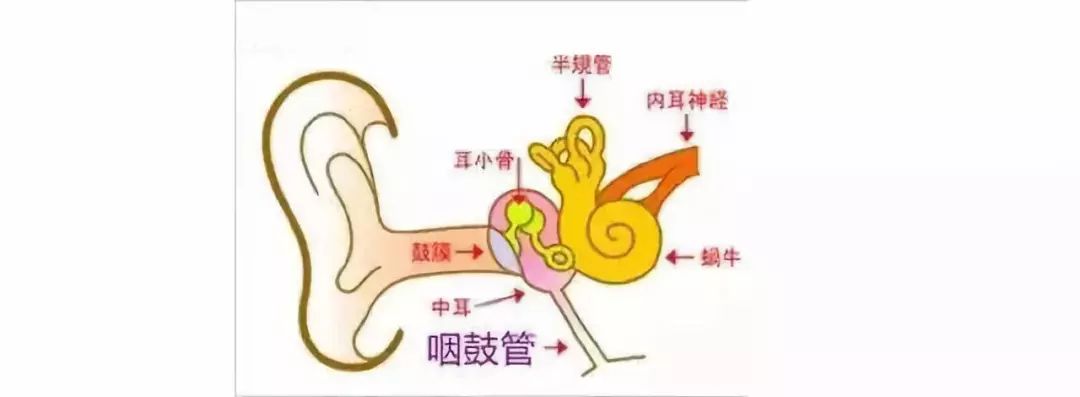 中耳乳突炎, 你了解"它"多少?