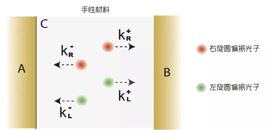 逆转卡西米尔效应