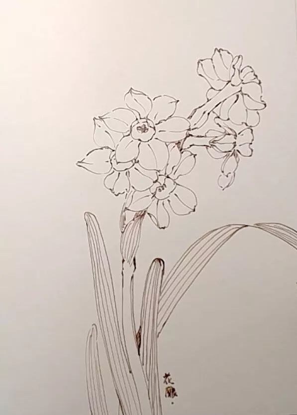 一起来写生 / 把喜爱的花朵留在纸上(视频讲解)_植物