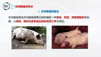 【视频培训】养猪场(户)非洲猪瘟的科学防控