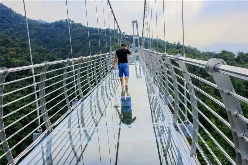 脚下透明的玻璃可见林间小路 四周是深山峡谷 此外,南丹山内的森林