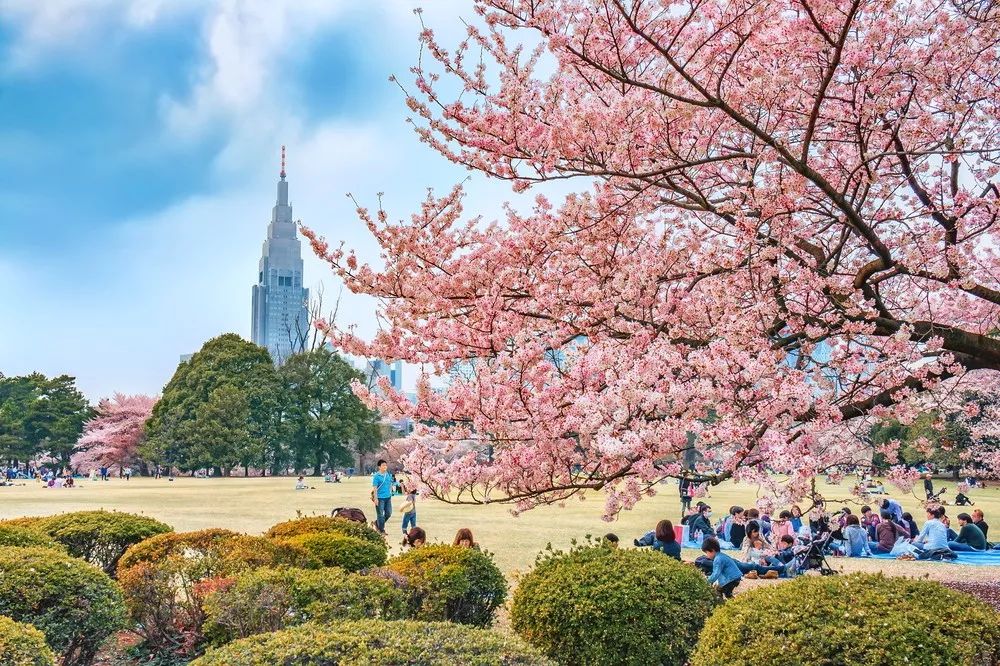 【新宿御苑】