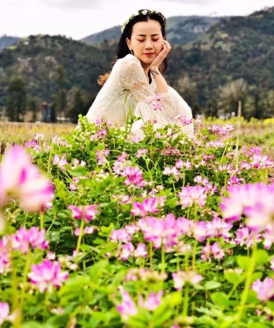 永嘉花花世界迷人眼!