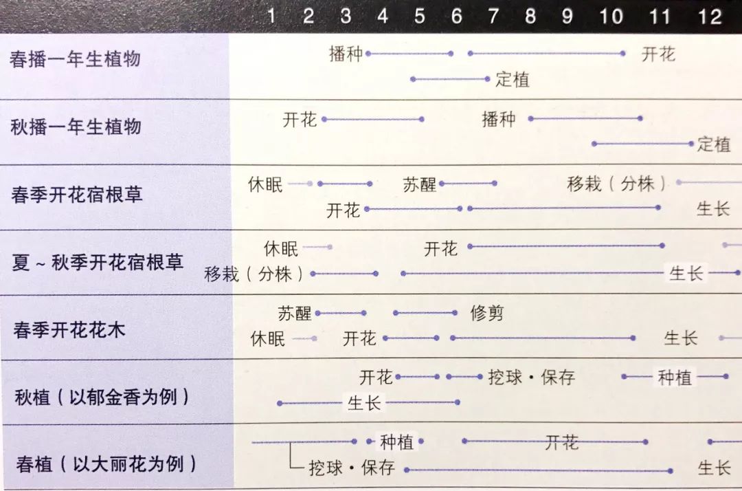 家有阳台花园,必须熟记这张植物的生长周期表!