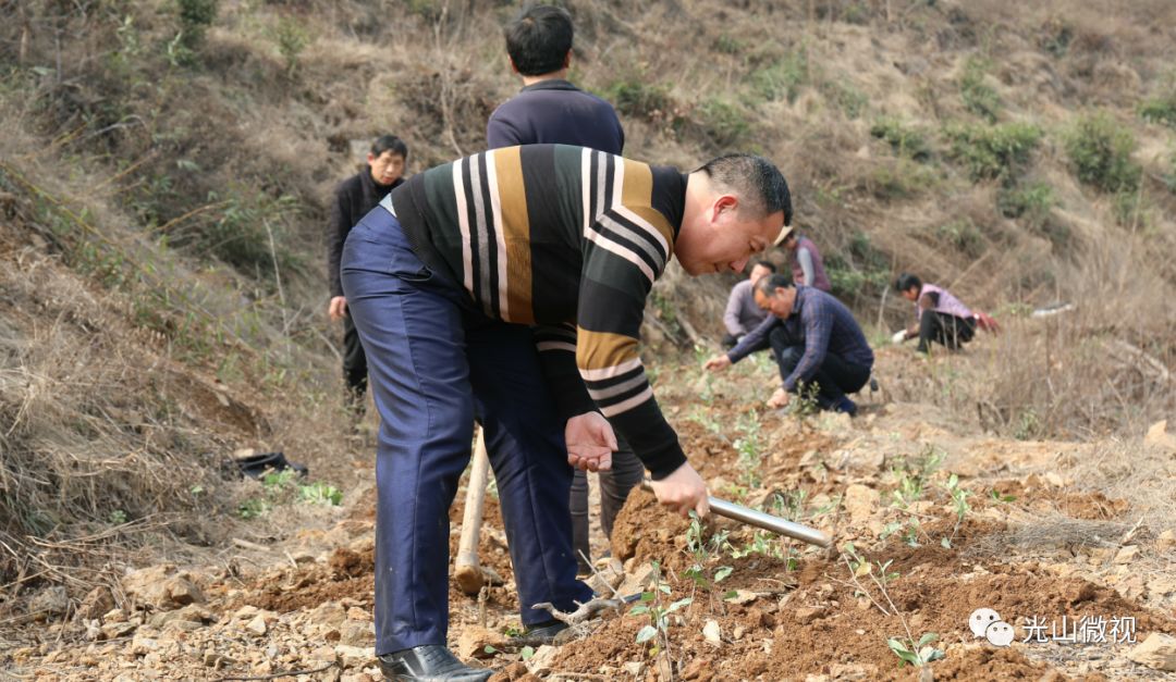 殷棚两人口_光山县殷棚中学图片