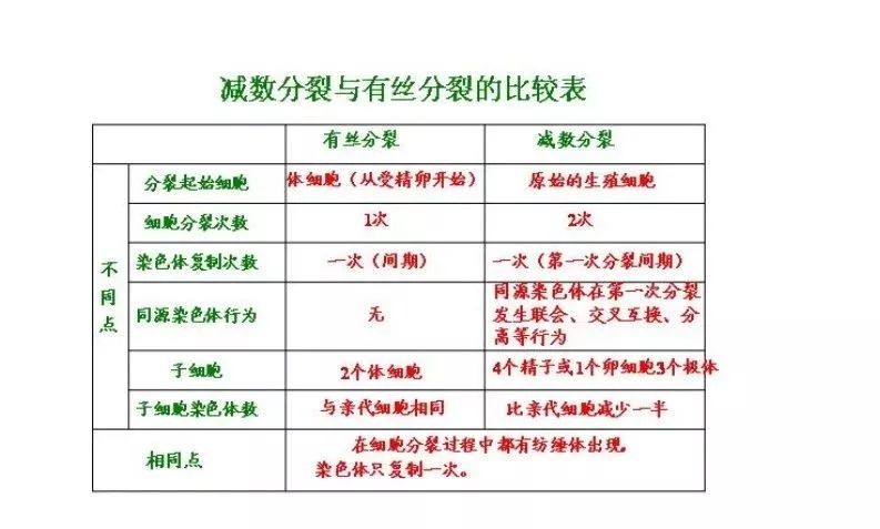 有丝分裂和减数分裂常见题型总结上