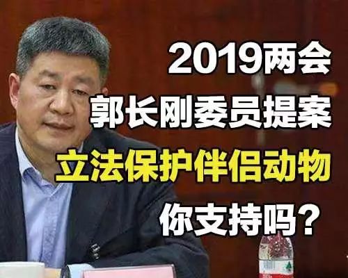 金毛被偷走後三天不吃不喝，小偷：不如宰了吃掉 未分類 第12張