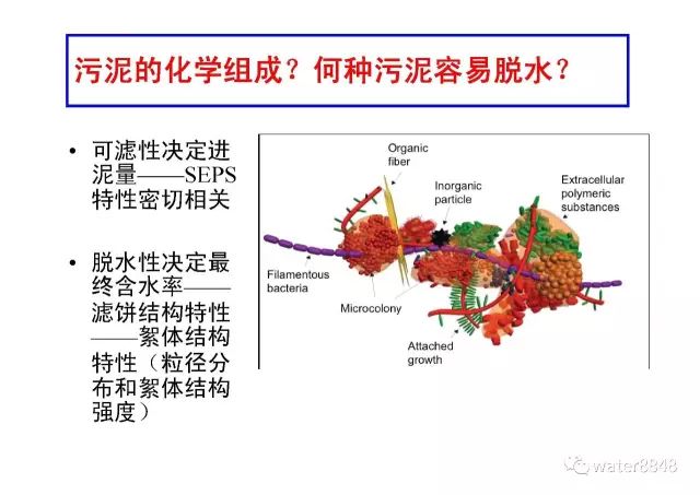 中科院王东升热水解厌氧污泥新型调理技术的开发及工程应用