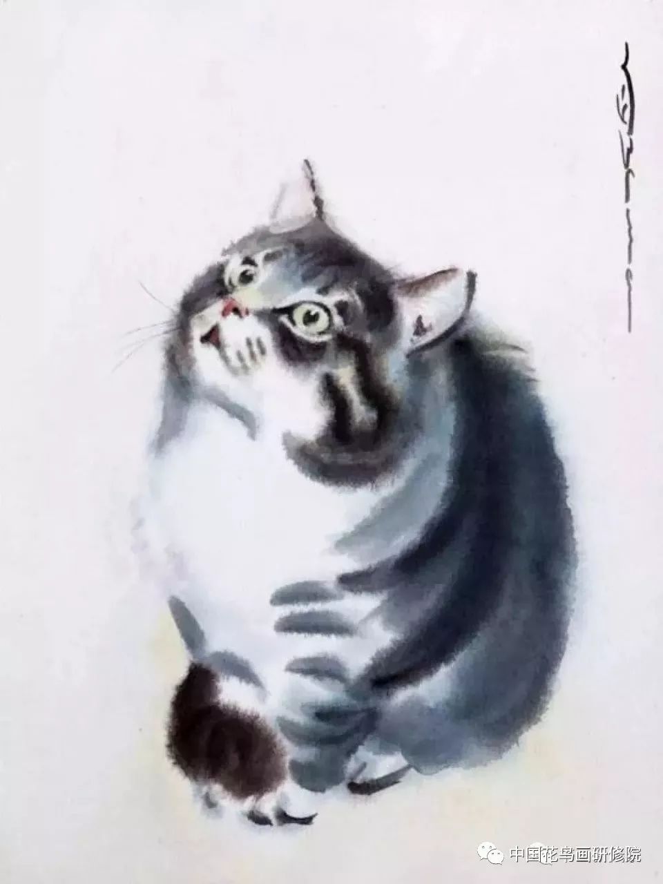 这可爱的小猫咪,真不是水墨画!