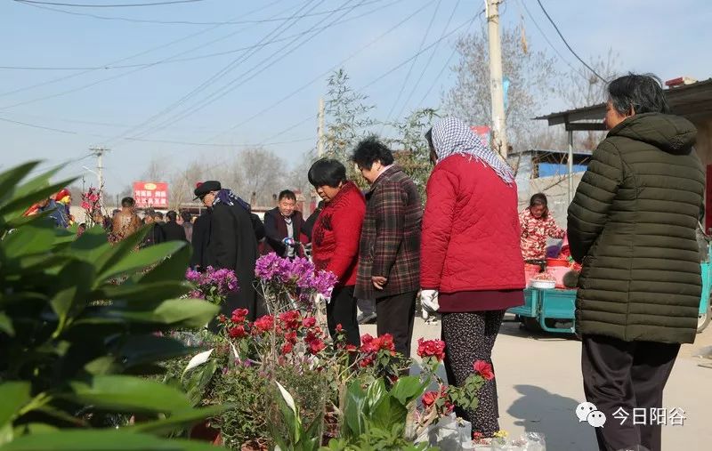 寿张闫集的庙会真热闹_阳谷