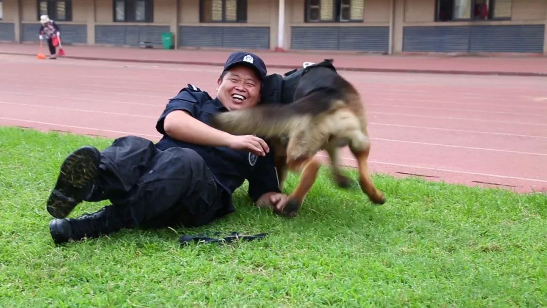 咱临泉又获奖了,这次是公安局刑侦警犬技术中队!