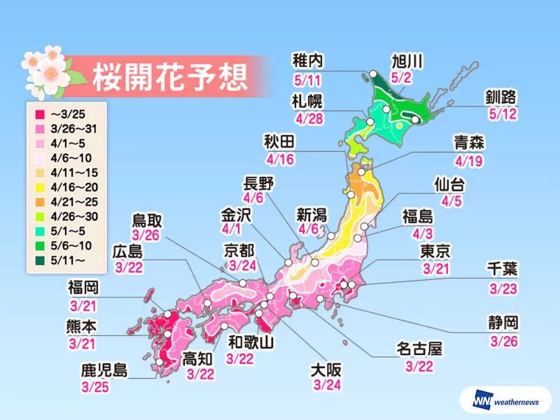 又到 樱花季 ,2019最不能错过的日本樱花观看指