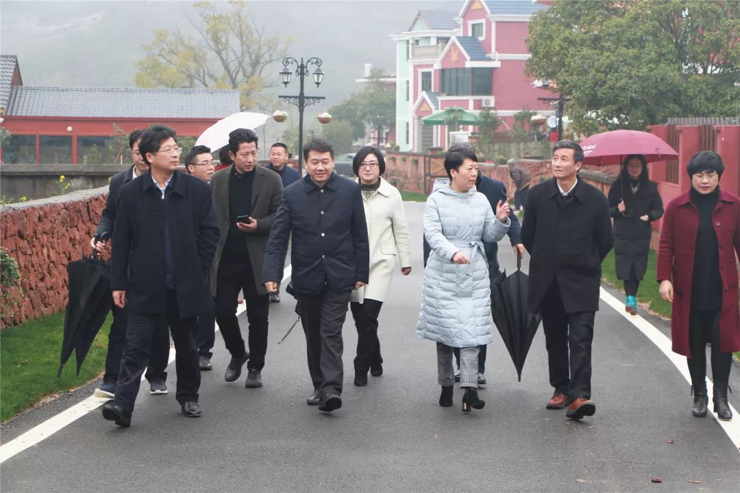 宣传部长丁晓胜,县委书记谢柏清,市委外宣办(市政府新闻办)主任缪瑜慧