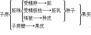 激素:由植物体内产生,能从产生部位运送到作用部位,对植物的生长发育