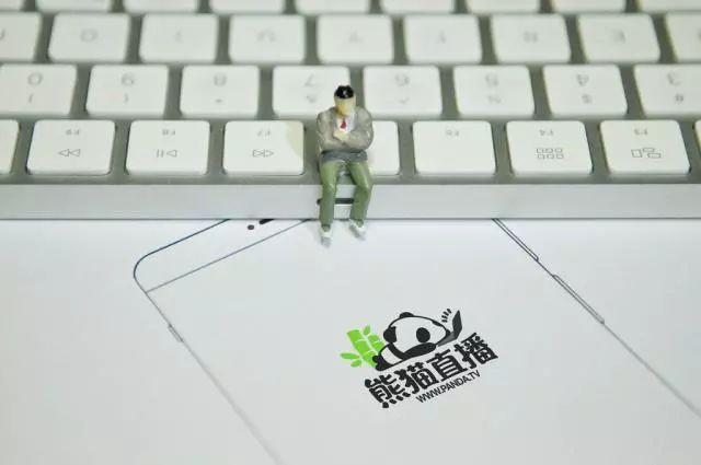 熊猫直播凉了,王思聪的直播帝国塌了_iOSApp