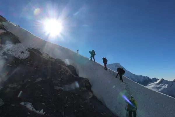 原本流浪的它，跟隨登山隊後，竟成為了登上喜馬拉雅山的第一犬！ 寵物 第4張