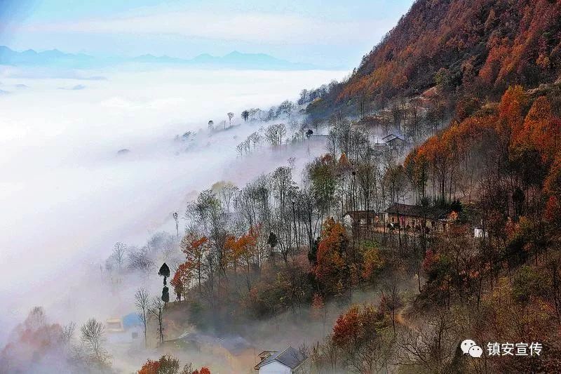 【美丽镇安我的家】镇安有座海棠山