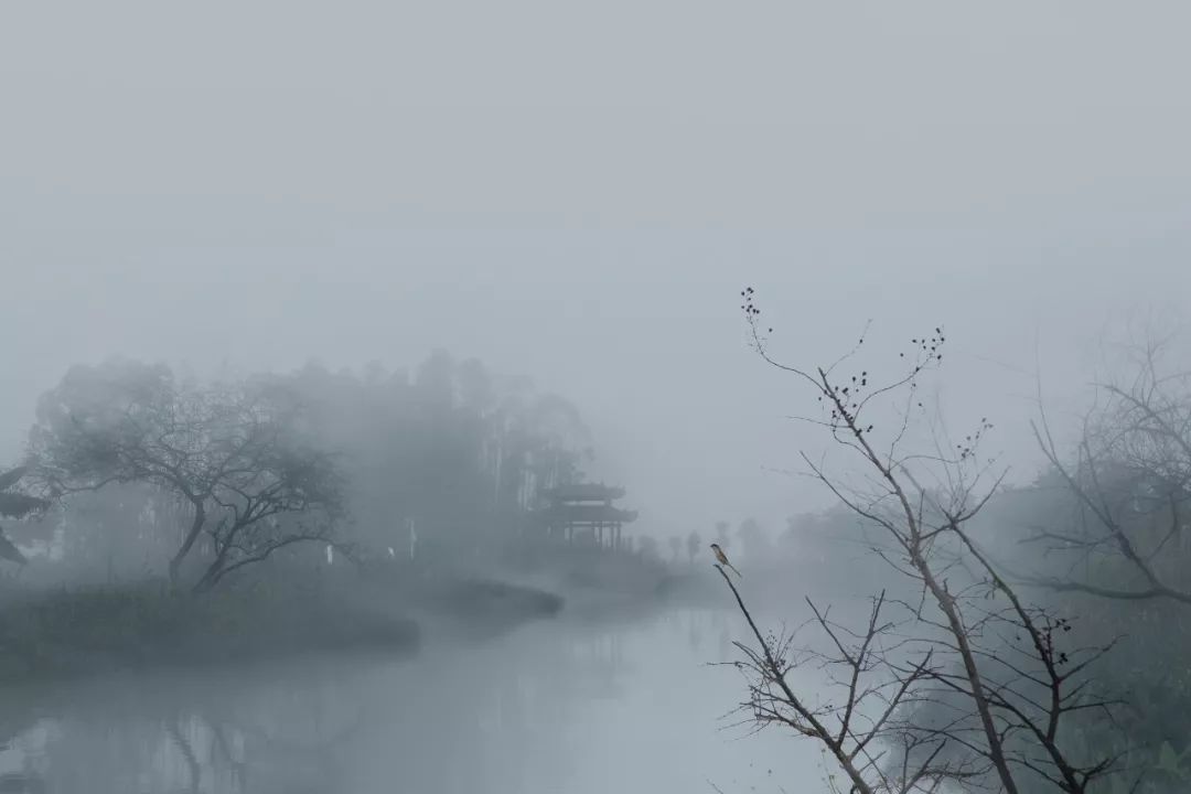 烟雨麻涌