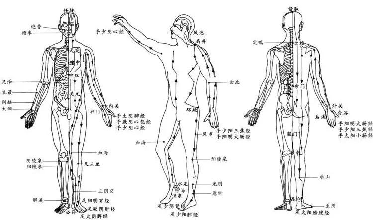 12时辰与12条经络便于记忆法!