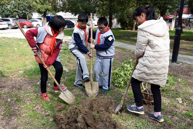 原创苏州市平江新城实验小学师生参加义务植树活动