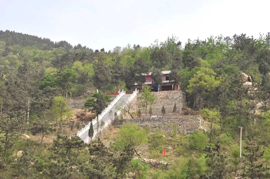 周末来咯~宁阳蟠龙山森林公园,凤仙山景区约起!