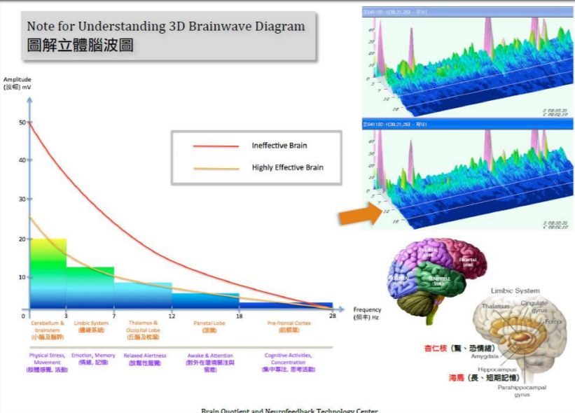 脑电波数据分析收集脑能量/活跃性/睡眠质素/放鬆力/注意力/集中力